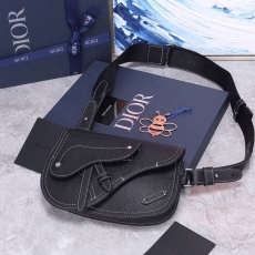 Mens Christian Dior Waist Chest Packs